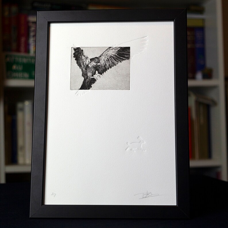 May include: A black framed print of a black and white etching of a bird in flight. The print is matted and has a small embossed design in the lower right corner.
