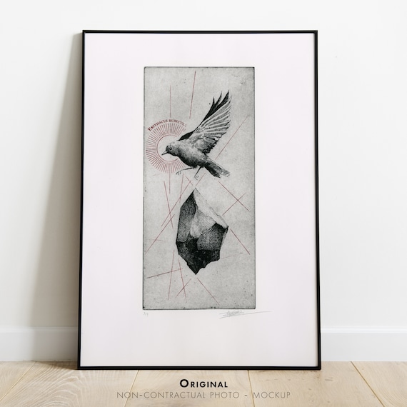 Gravure originale édition limitée / Estampe art - Taille douce / Oiseau - Erithacus Rubecula