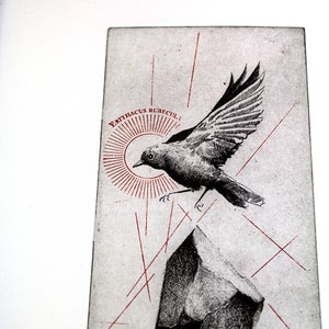 A etchingof a bird in mid-flight, passing over a solid floating rock, celebrating the essence of nature.