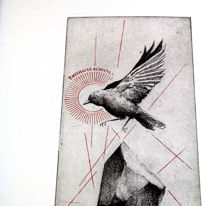 A etchingof a bird in mid-flight, passing over a solid floating rock, celebrating the essence of nature.