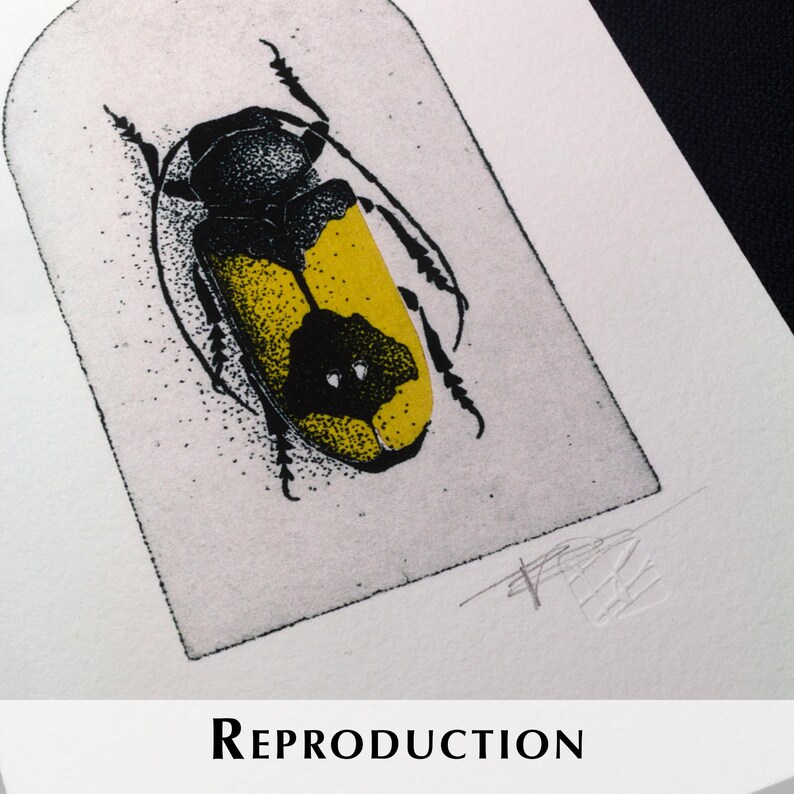 K&ouml;nnte beinhalten: Detaillierte Illustration eines schwarzen und gelben K&auml;fers auf wei&szlig;em Hintergrund, eingerahmt in einer rechteckigen Form. Das Wort "REPRODUCTION" ist in einer Serifenschrift am unteren Bildrand gedruckt. Das Kunstwerk zeigt komplizierte Linienarbeit und eine Signatur.