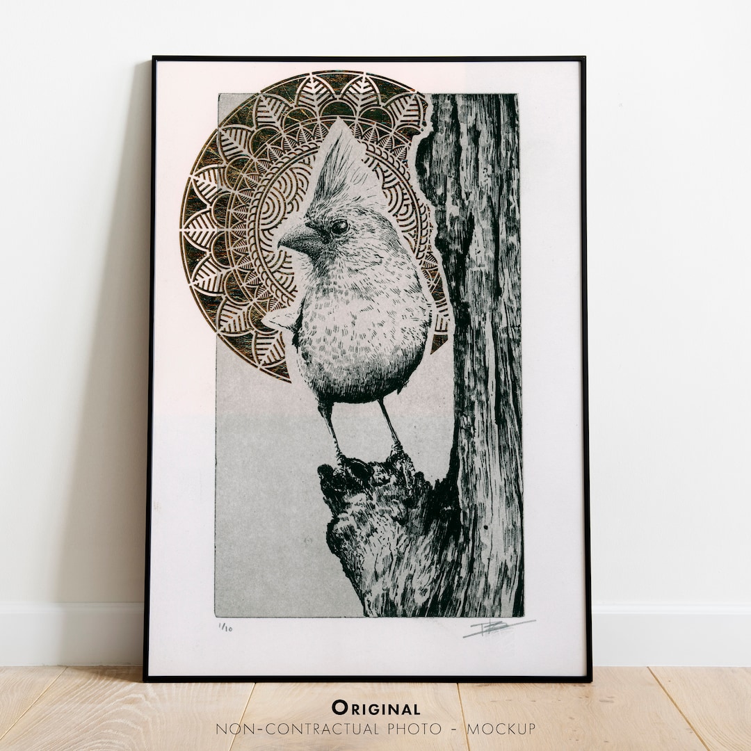 Original Etching / Limited Edition Fine Art Print / Intaglio / Bird ...