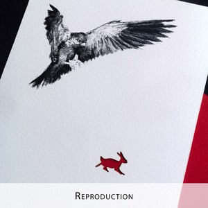 Original Etching / Limited edition fine art print / Intaglio / Bird of prey image 14