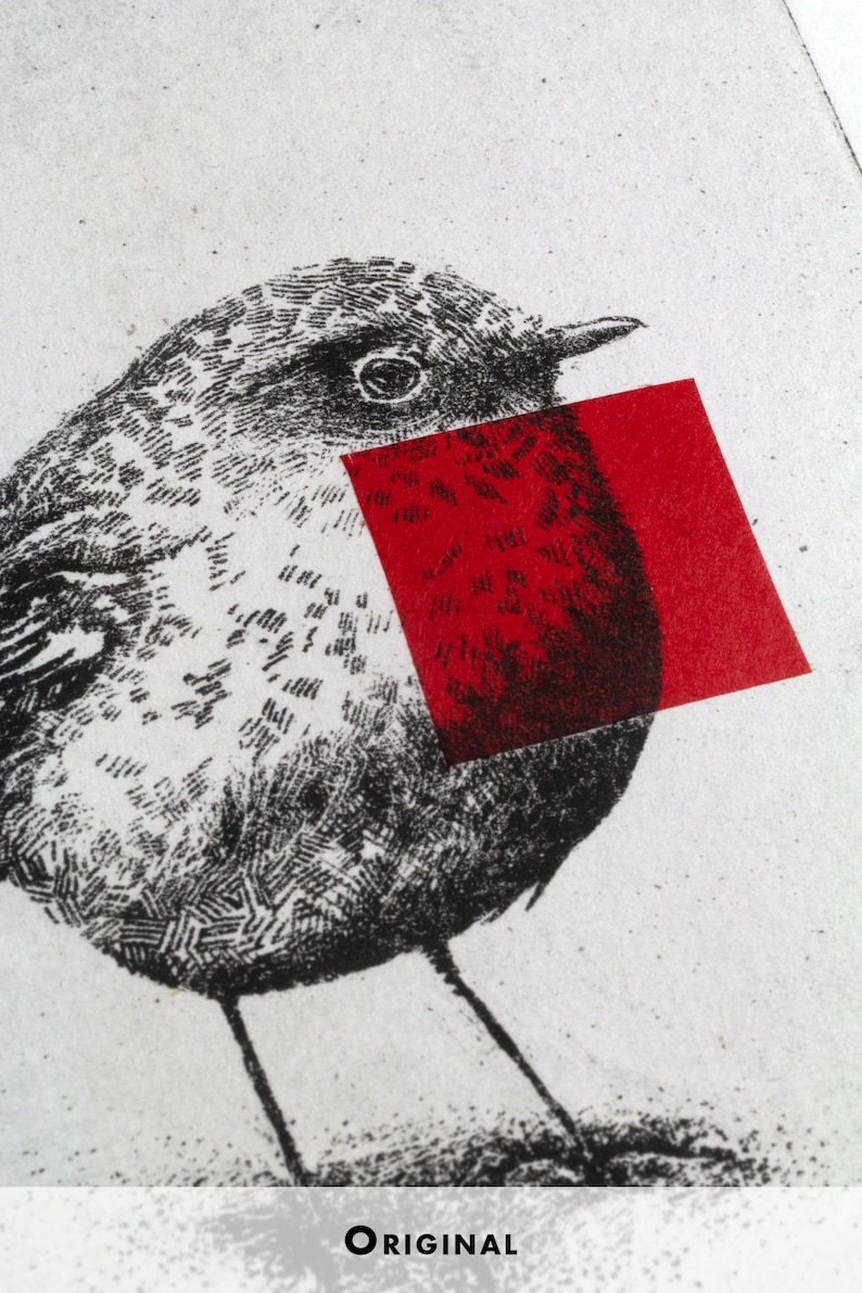 Original Etching / Limited edition fine art print / Intaglio / Bird red robin image 5