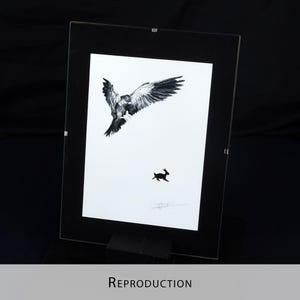 Original Etching / Limited edition fine art print / Intaglio / Bird of prey image 20