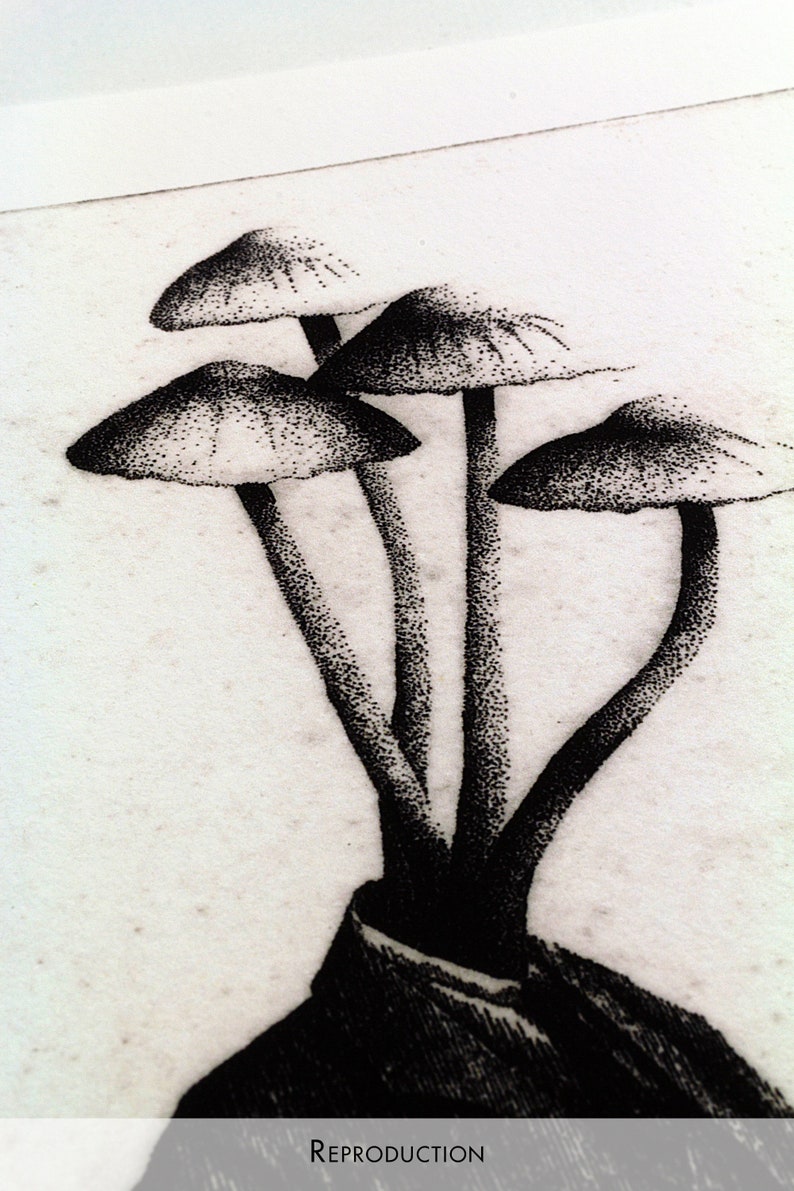 Original Etching Limited edition fine art print Mushroom Head image 7