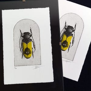 A beetle is depicted with intricate black detailing on its body and bold yellow markings on its wings, set against a simple arched background. The composition highlights the insect's symmetrical design and natural beauty.
