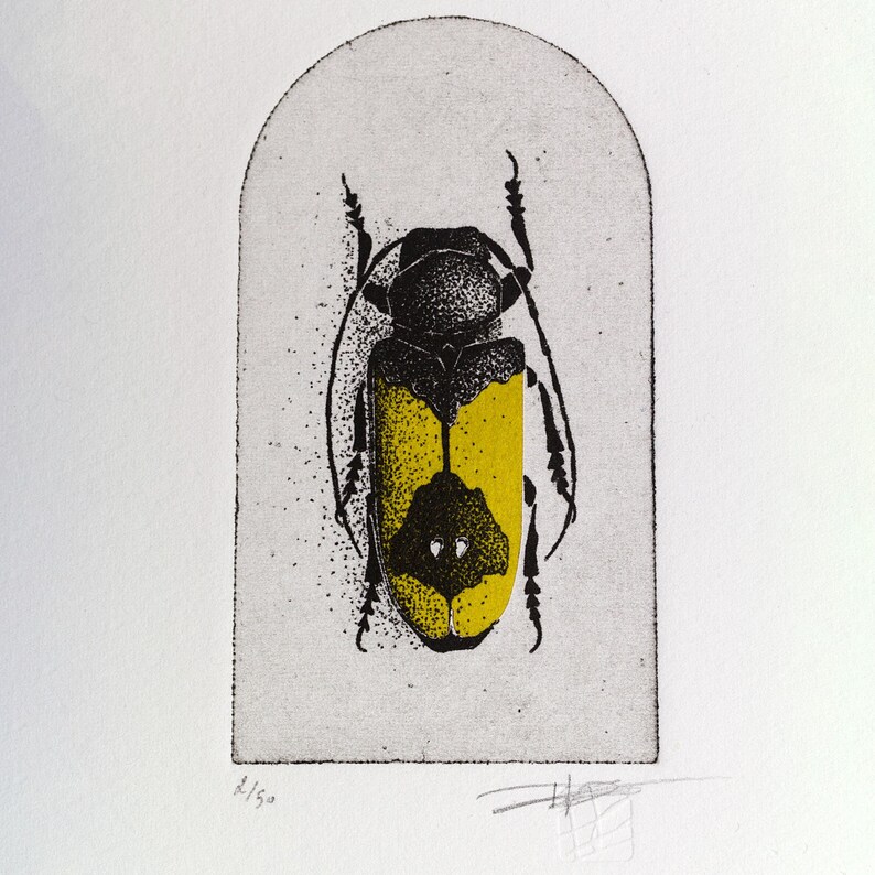 A beetle is depicted with intricate black detailing on its body and bold yellow markings on its wings, set against a simple arched background. The composition highlights the insect's symmetrical design and natural beauty.