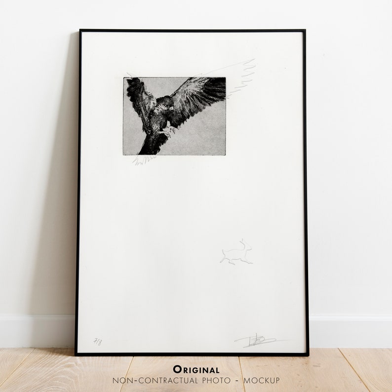 May include: Black and white framed print of a bird in flight. The print is signed and numbered 2/8.