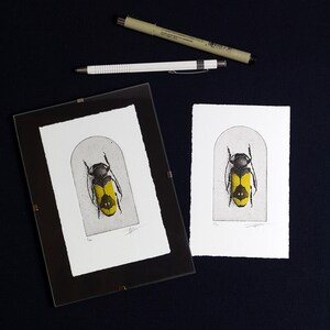 A beetle is depicted with intricate black detailing on its body and bold yellow markings on its wings, set against a simple arched background. The composition highlights the insect's symmetrical design and natural beauty.