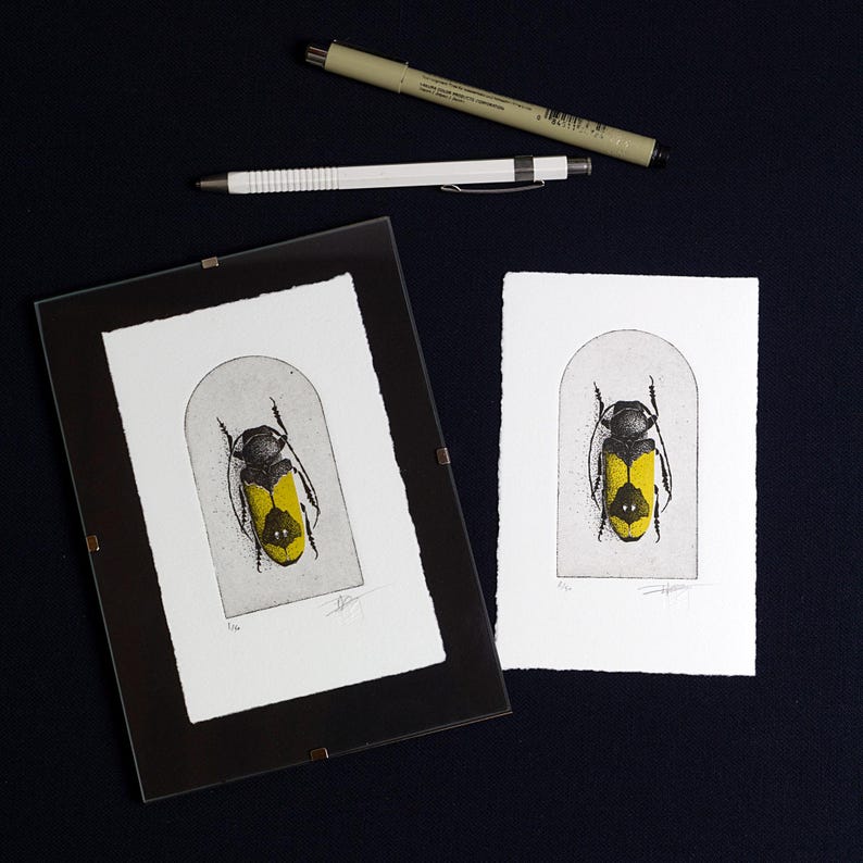A beetle is depicted with intricate black detailing on its body and bold yellow markings on its wings, set against a simple arched background. The composition highlights the insect's symmetrical design and natural beauty.