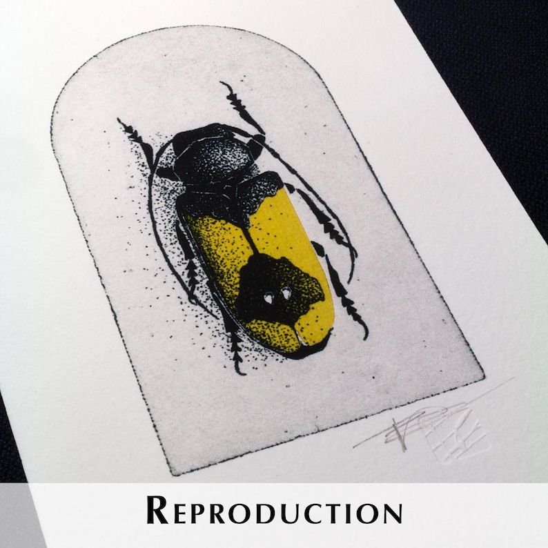 K&ouml;nnte beinhalten: Ein detaillierter Druck eines K&auml;fers mit gelben und schwarzen Farben wird in einem rechteckigen Rahmen dargestellt. Das Wort "REPRODUCTION" ist in fetter, schwarzer Schrift am unteren Rand des Bildes gedruckt. Das Kunstwerk befindet sich auf wei&szlig;em Hintergrund.