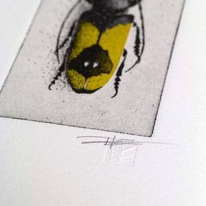 A beetle is depicted with intricate black detailing on its body and bold yellow markings on its wings, set against a simple arched background. The composition highlights the insect's symmetrical design and natural beauty.