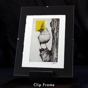 Original Etching / Limited Edition Fine Art Print / Intaglio / Bird ...