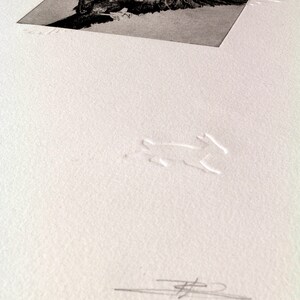 May include: A close-up of a white textured paper with a raised embossed design of a stylized animal. The design is in the lower center of the image.