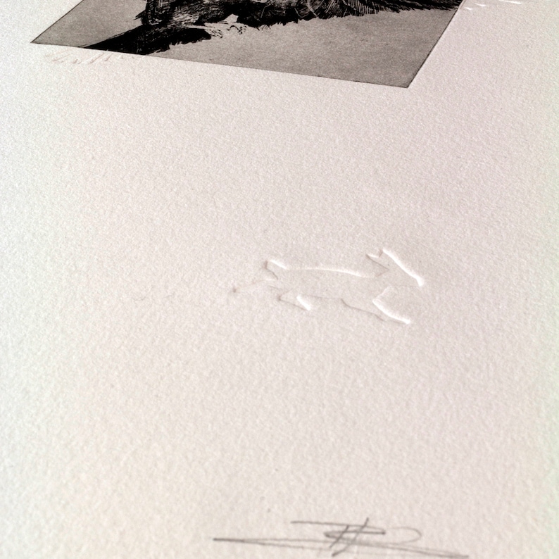 May include: A close-up of a white textured paper with a raised embossed design of a stylized animal. The design is in the lower center of the image.