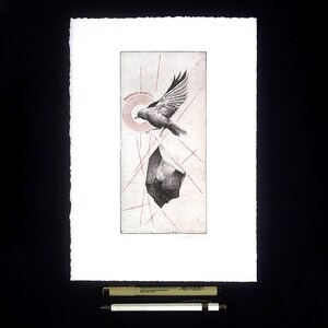 A etchingof a bird in mid-flight, passing over a solid floating rock, celebrating the essence of nature.