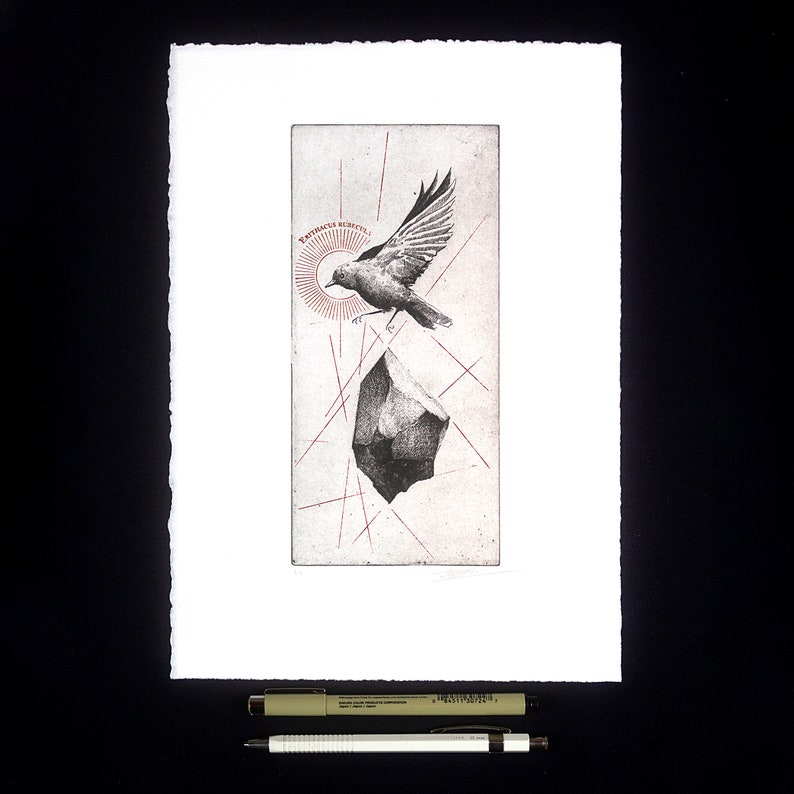 A etchingof a bird in mid-flight, passing over a solid floating rock, celebrating the essence of nature.