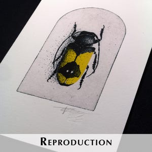 K&ouml;nnte beinhalten: Eine schwarz-gelbe Insektenillustration auf wei&szlig;em Papier mit dem Wort "REPRODUCTION" unten. Das Insekt befindet sich in einer wei&szlig;en Bogenform. Das Insekt hat einen gelben K&ouml;rper mit schwarzen Markierungen.