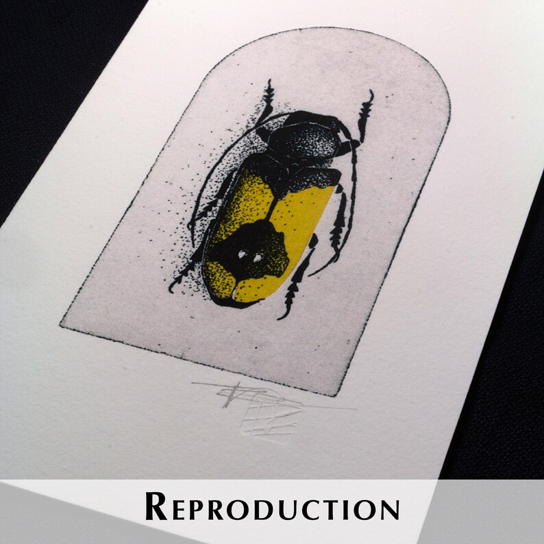 K&ouml;nnte beinhalten: Eine schwarz-gelbe Insektenillustration auf wei&szlig;em Papier mit dem Wort "REPRODUCTION" unten. Das Insekt befindet sich in einer wei&szlig;en Bogenform. Das Insekt hat einen gelben K&ouml;rper mit schwarzen Markierungen.