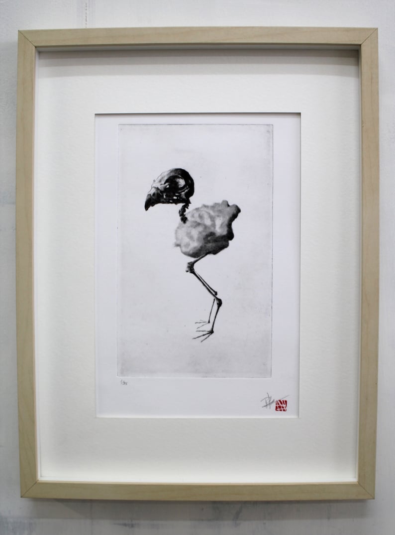 Bird skeleton Original etching limited edition Chick skull fine art