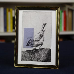 Peut inclure: Une illustration en noir et blanc d'un oiseau perché sur une branche. L'oiseau est tourné vers la droite et a une longue queue. L'arrière-plan est de couleur gris clair avec un rectangle violet derrière l'oiseau.