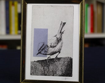 Original Etching with vintage frame / Limited edition fine art print / Intaglio / Bird - Firecrest