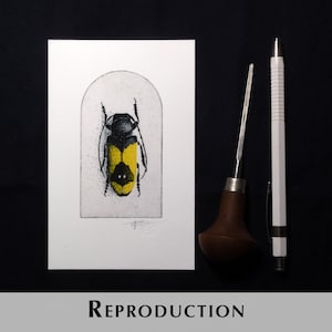K&ouml;nnte beinhalten: Eine wei&szlig;e Karte mit einer schwarz-gelben Insektenillustration in einem bogenf&ouml;rmigen Rahmen. Rechts befinden sich ein Werkzeug mit Holzgriff, ein Metallwerkzeug und ein wei&szlig;er Bleistift. Das Wort "REPRODUCTION" steht unten.