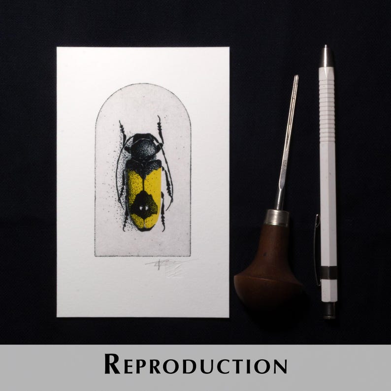 K&ouml;nnte beinhalten: Eine wei&szlig;e Karte mit einer schwarz-gelben Insektenillustration in einem bogenf&ouml;rmigen Rahmen. Rechts befinden sich ein Werkzeug mit Holzgriff, ein Metallwerkzeug und ein wei&szlig;er Bleistift. Das Wort "REPRODUCTION" steht unten.