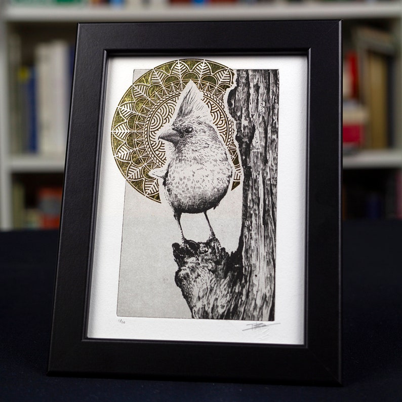 Original Etching / Limited Edition Fine Art Print / Intaglio / Bird ...
