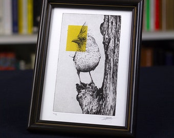 Original Etching with vintage frame / Limited edition fine art print / Intaglio / Bird - Northern Cardinal