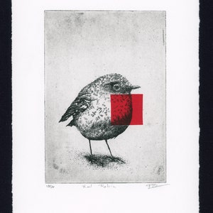 Original Etching / Limited edition fine art print / Intaglio / Bird red robin image 2