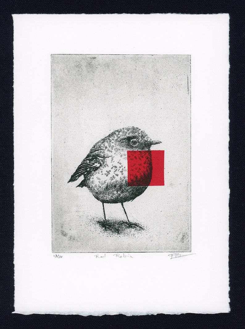 Original Etching / Limited edition fine art print / Intaglio / Bird red robin image 2