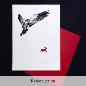 Original Etching / Limited edition fine art print / Intaglio / Bird of prey image 13
