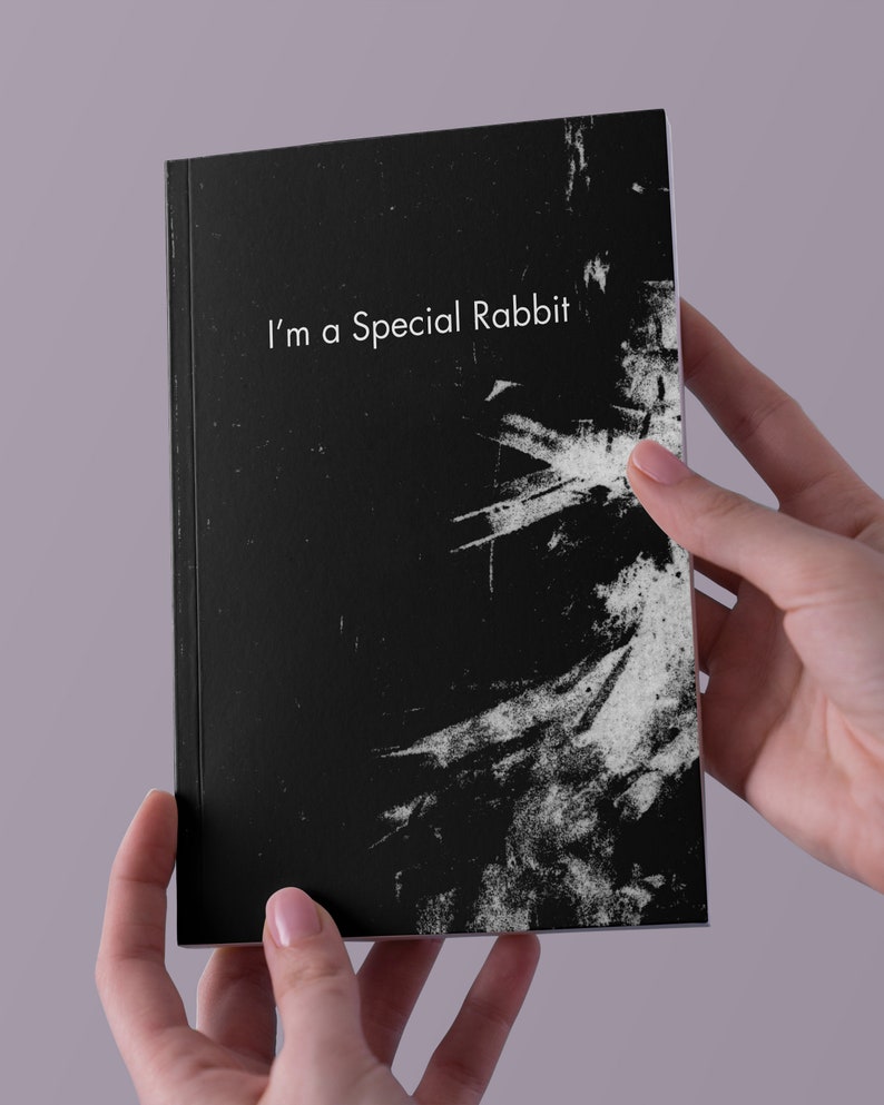 Poetry zine / Illustrated chapbook / I'm a special rabbit image 2