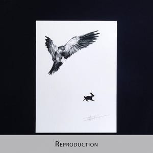 Original Etching / Limited edition fine art print / Intaglio / Bird of prey image 12