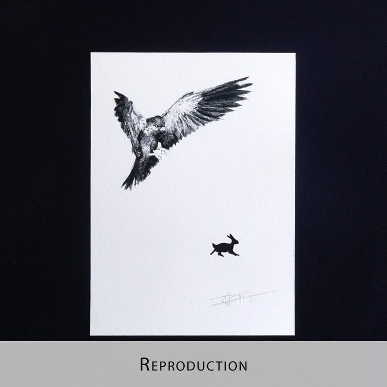 Original Etching / Limited edition fine art print / Intaglio / Bird of prey image 12