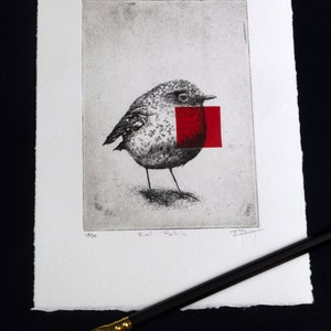 Original Etching / Limited edition fine art print / Intaglio / Bird red robin image 3