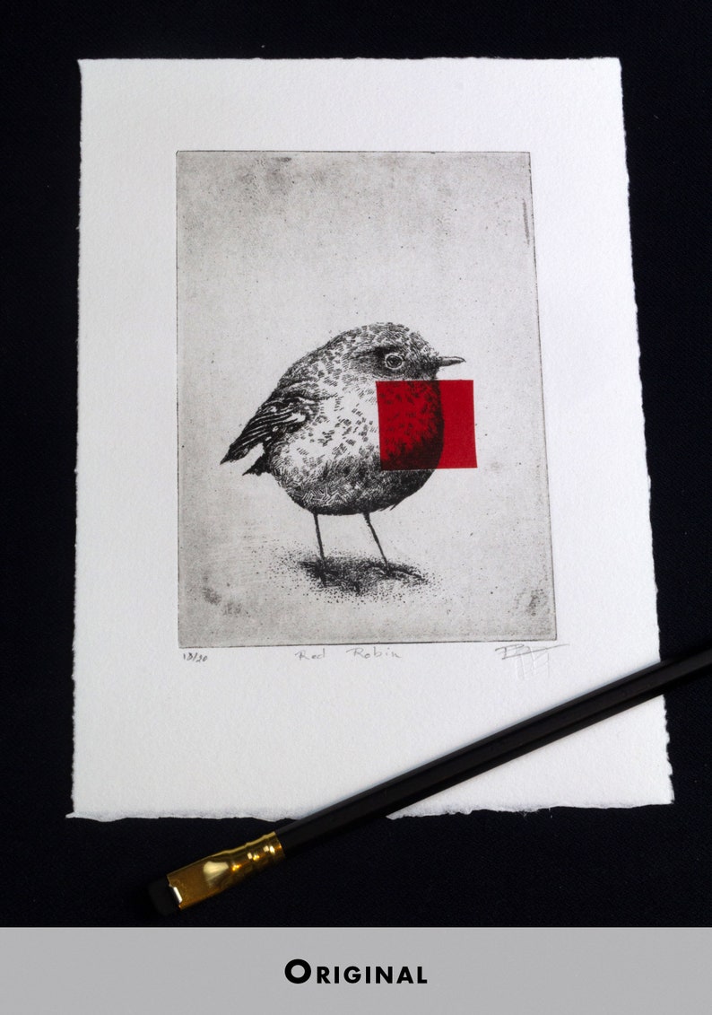 Original Etching / Limited edition fine art print / Intaglio / Bird red robin image 3