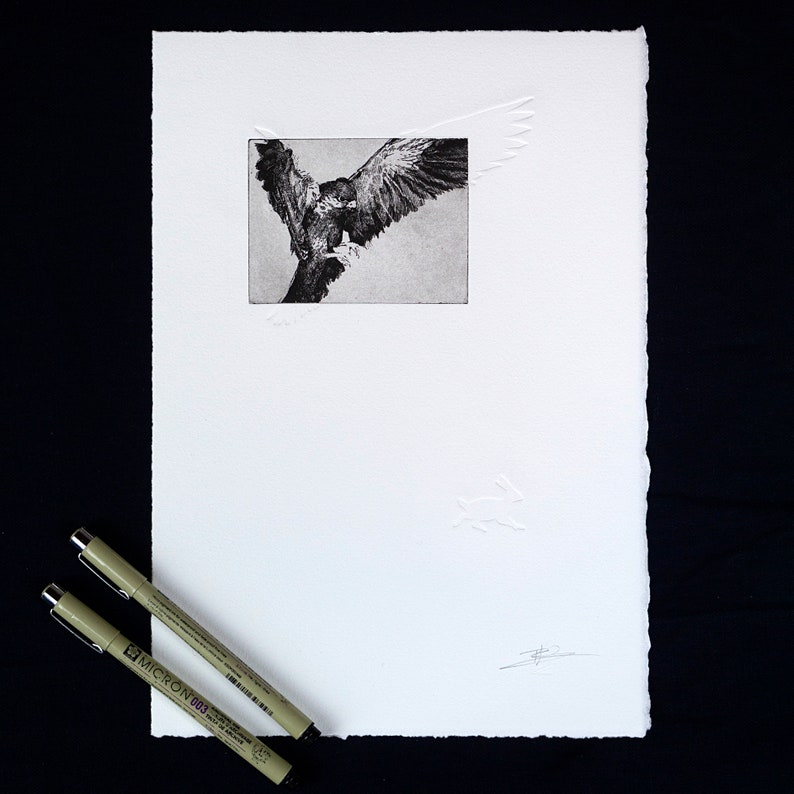 May include: A black and white etching of a bird of prey in flight. The bird is depicted with its wings spread wide and its talons extended. The etching is framed by a white border.