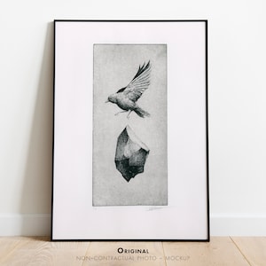 Puede incluir: Una impresión enmarcada en blanco y negro que presenta una ilustración detallada de un pájaro en vuelo sobre una piedra oscura y dentada. La obra está centrada dentro de un borde rectangular sobre un fondo blanco, con una firma abajo a la derecha.