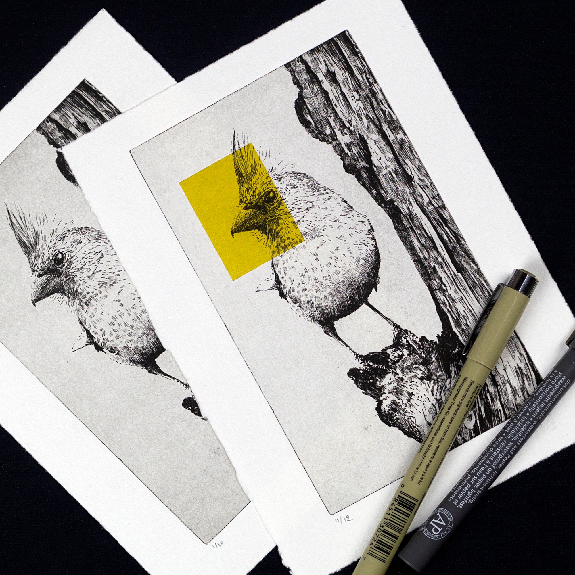 Original Etching / Limited Edition Fine Art Print / Intaglio / Bird ...