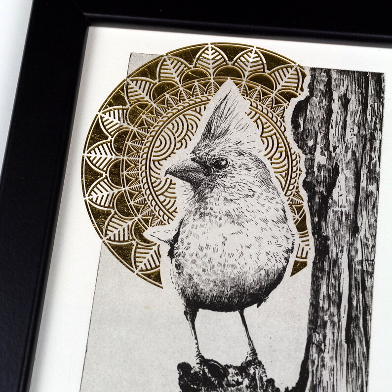 Original Etching / Limited Edition Fine Art Print / Intaglio / Bird ...