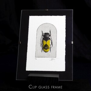 A beetle is depicted with intricate black detailing on its body and bold yellow markings on its wings, set against a simple arched background. The composition highlights the insect's symmetrical design and natural beauty.