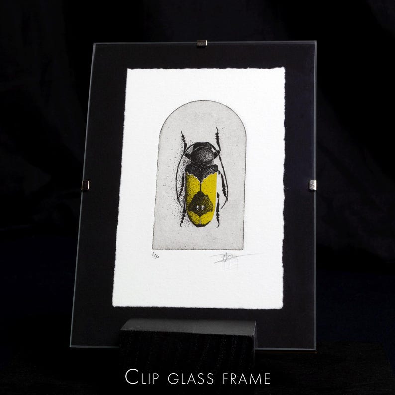 A beetle is depicted with intricate black detailing on its body and bold yellow markings on its wings, set against a simple arched background. The composition highlights the insect's symmetrical design and natural beauty.