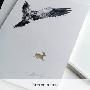 Original Etching / Limited edition fine art print / Intaglio / Bird of prey image 15