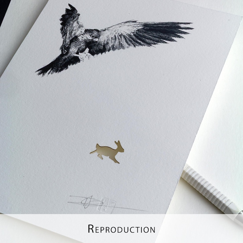 Original Etching / Limited edition fine art print / Intaglio / Bird of prey image 15
