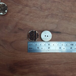 25mm Antler Buttons image 3