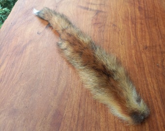Australian Red Fox Pelt Tail (FOX04)