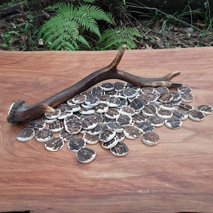 25mm Antler Buttons image 1